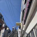 홍익힐링 | 작은 동물원! 귀여움 한도 초과 '미어캣프랜즈 홍대점'아이와 같이하는 실내 데이트 내돈내산 힐링 후기 🐾