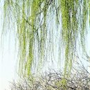 바람여행