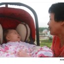 청간정 민박 이미지