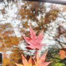 가자셀프세차 이미지