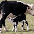 문법농장 이미지