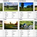 그린골프교실 이미지