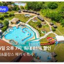 고창레져 | 고창 웰파크호텔 최대 64퍼 할인 풀캉스 패키지 온천 스파 포함 13만원대 라이브 특가