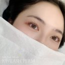 더퀸즈뷰티