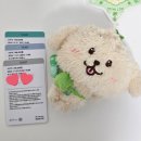 안남 | 영종도 2박3일 지박령 (주접밖에 안남은 땡프의 위시 콘서트 후기)