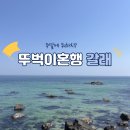 중전산촌마을민박2 | [공지] 주말에 뭐하지? 혼자라서 더 좋은 혼행갈래!☝️