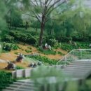 새마을공원길L 이미지