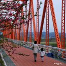 와룡리마을길 이미지