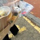 도그리니 | 내일부터 갓생살기 챌린지 할랍니더..