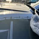 윈그루밍 이미지