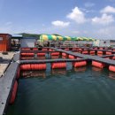 킹콩좌대 이미지