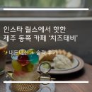 카페치즈태비 | 제주 동쪽 감성 카페 인생 라떼 찾은 곳 ‘카페 치즈태비’ 내돈내산 후기