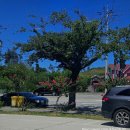 서울별미칼국수짬뽕 | 강릉 경포대 맛집 : 경포칼국수 장칼국수 후기 (주차가능)