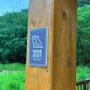 휘영청이