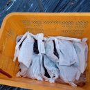 동남농장2 이미지