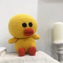 코바늘뜨기 초급반 이미지