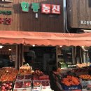 형제인삼사 이미지