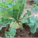 재학농장 이미지