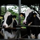 형수농장 이미지