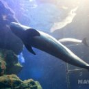 해운대해변로 이미지