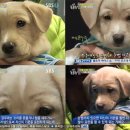 깜짝 TV리포트
