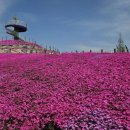 만개