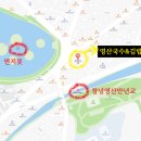 영산김밥 이미지