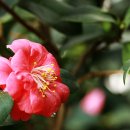 부천자연생태박물관 이미지