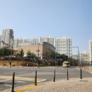 새롬동_새롬중학교(건너편) 이미지