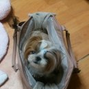 별님미용실