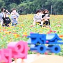 산소카폐 청송정원 (1) 이미지