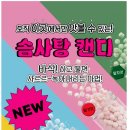 새콤달콤과일공장