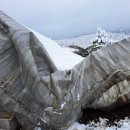 남성목장 이미지