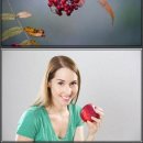 사계절한의원 이미지