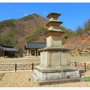 영천 화남리 석조여래좌상 이미지