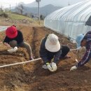 내린천 주말농장 이미지