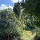 범우전자 이미지