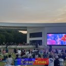 담빛시네콘서트 이미지