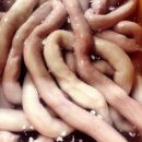 후석축산 네이버블로그