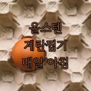 매일계란 | Bear 올스텐 계란찜기 솔직 후기, 매일 아침이 편해졌어요!