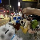 뽑아브러 이미지