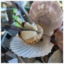 지나칼국수 이미지