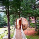 청태산자연휴양림 이미지