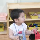 도담다
