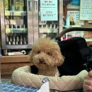 금학목장 이미지