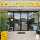 수원-0396 이미지