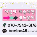 판다차이나
