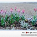 예사랑피아노학원 이미지