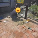 61호 어린이공원 네이버블로그