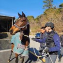 상주국제승마장 이미지